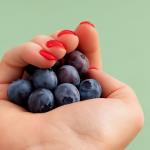 5 Gerichte, bei denen Sie am wenigsten Antioxidantien erwarten würden
